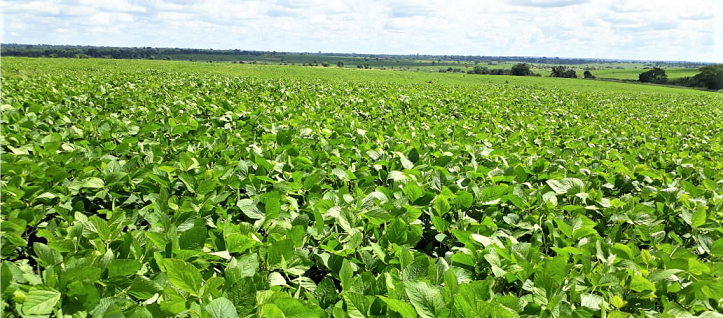 Fazenda Rio Monapo