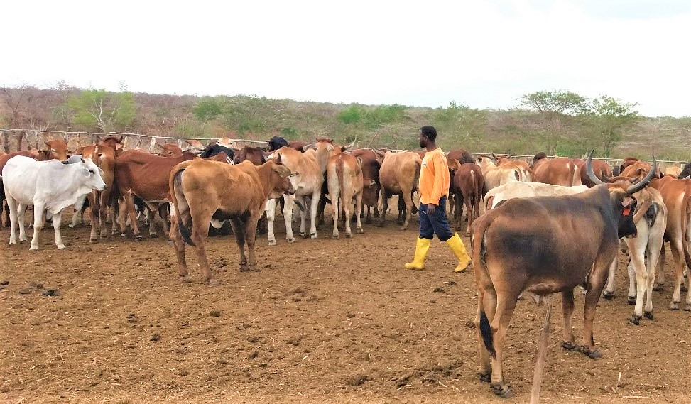 Fazenda Rio Monapo