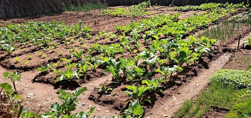 Fazenda Rio Monapo